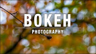 Bokeh Photography – The Easy Way