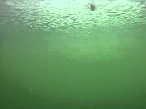 Коростышевский карьер. Подо льдом