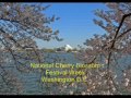National Cherry Blossom Festival - Emile Pandolfi, piano
