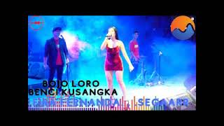 Fira Fernanda Bojo Loro Benci Kusangka