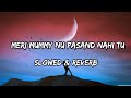 Meri Mummy Nu Pasand Nahi Tu - {Slowed & Reverb} - Sunanda Sharma Songs By Slowed Music Production