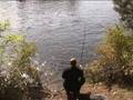 Carp fishing in Trent River 3