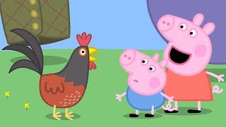 Peppa Wutz | Zusammenstellung von Folgen | Peppa Pig Deutsch Neue Folgen | Cartoons für Kinder