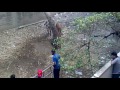 bakra eid qurbani 2011