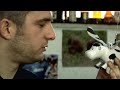 Film Gratis Completo Da Vedere In Streaming Su Youtube Da ...