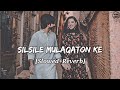 Silsile Mulaqaton Ke | Slowed + Reverb | 90's song Lofi | Udit Narayan, Alka Yagnik | VISH VIBES