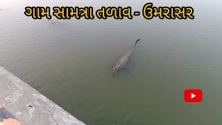 ઉમરસર તળવ સમતર Green Samatra Clean Samatra