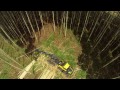 PONSSE Ergo logging eucalyptus