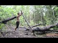 Primitive Technology: Planting Cassava and Yams