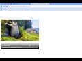 How to autoplay video in html