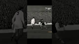 aZ6A68KsZec Video Image
