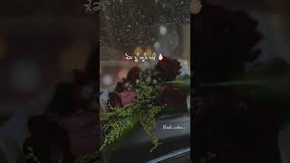 Sab Kuch B Praak Whatsapp Status Instagram Reels