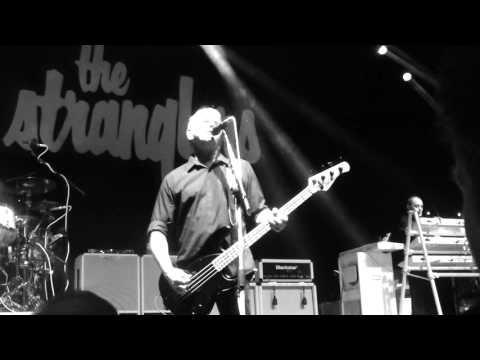 Princess of the Street-The Stranglers@Glive Guildford 14th March 2016