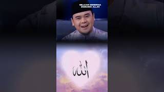 Bijak