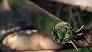 Pork cooked with Local herbs in Bamboo tube