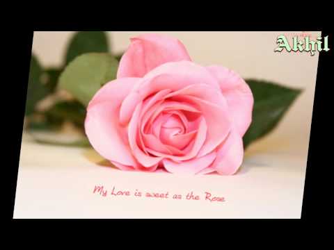 Tu Mile Dil Khile - Remix