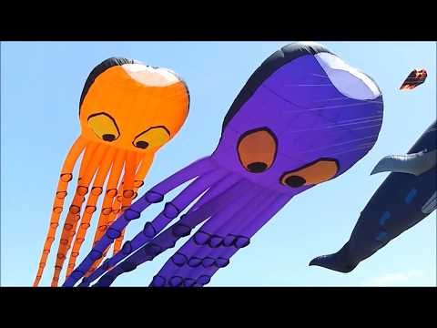 2012 Wildwood Kite Festival part one