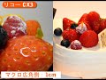 リコー CX3(カメラのキタムラ動画_RICOH)