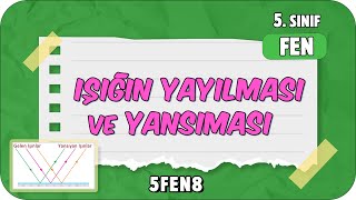 Işığın Yayılması ve Yansıması 📗 tonguçCUP 3.Sezon - 5FEN8 #2024