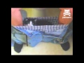 Cat Chills in a Man's Boxers While the Guy Uses the Toilet!
