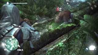 Ins Creed 4 Black Flag Do The Jaguar