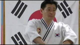 Gm. Choi Kil Bong 8.Dan - Daehan Minguk Hapkido Europe