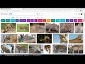 Download multiple photo from google search engine.