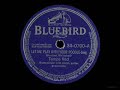 Tampa Red • Let Me Play With Your Poodle (1942)