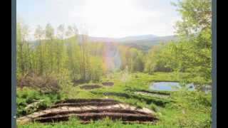 Farm and Homestead Resiliency Principles in Practice - Finger Lakes