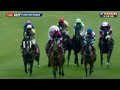 Don Cossack - Bibby Financial Services Ireland Punchestown Gold Cup (G1) 2015