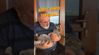 kediye banyo yaptırmak