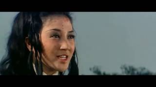 Wang Yu El Invencible 1972