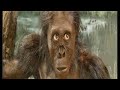 Startalk Radio - Cosmic Queries: Primate Evolution - Neil deGrasse Tyson talk