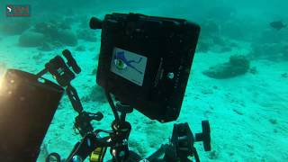 UNDERWATER VIDEO SETUP-2