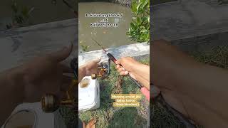 Cara Mancing Ikn Boso Blendem Buat Siakap