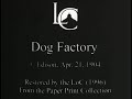 Dog Factory