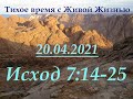 Исход 7:14–25 (20.04.2021)