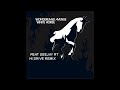 Wonderland Avenue feat. Deejay RT - White Horse 2011 (Hi Drive Remix)