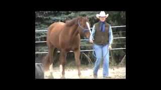Watch Lyle Lovett Nothing But A Good Ride video
