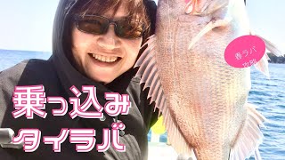 タイラバ乗っ込み攻略‼️