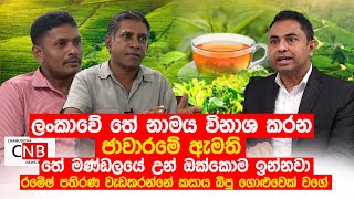 The trade that destroys the name of tea in Sri Lanka - Truth with Chamuditha
