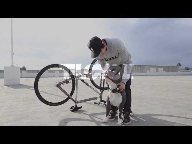 Michael Chacon T-Level edit pt 2