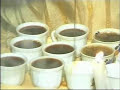 Lovely Ethiopian Song Portraying Culture & Tradition