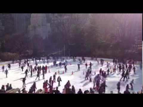 Christmas Holidays New York Sleigh Ride 2014