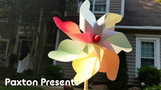 Paxton - New Kid