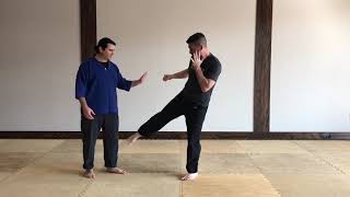 Defending Against MMA using Aikido, Part 3 of 4