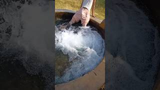 Swimming Video
