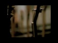 Pearl Jam - Just Breathe (unofficial video)