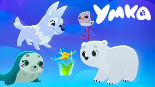 Умка 🐻‍❄️ Снежные Цветы ⭐ Премьера Мультсериала На Канале Союзмультфильм