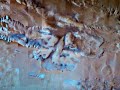 Life On Mars